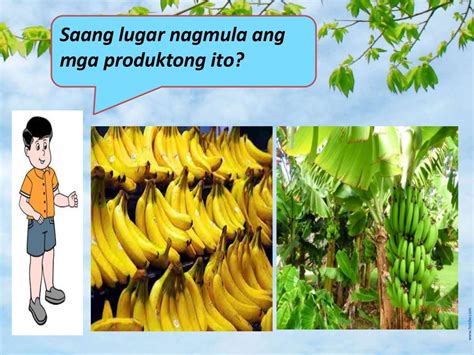 mga produkto halimbawa|Aralin 2 mga produkto at kalakal sa ibat ibang lokasyon ng bansa.